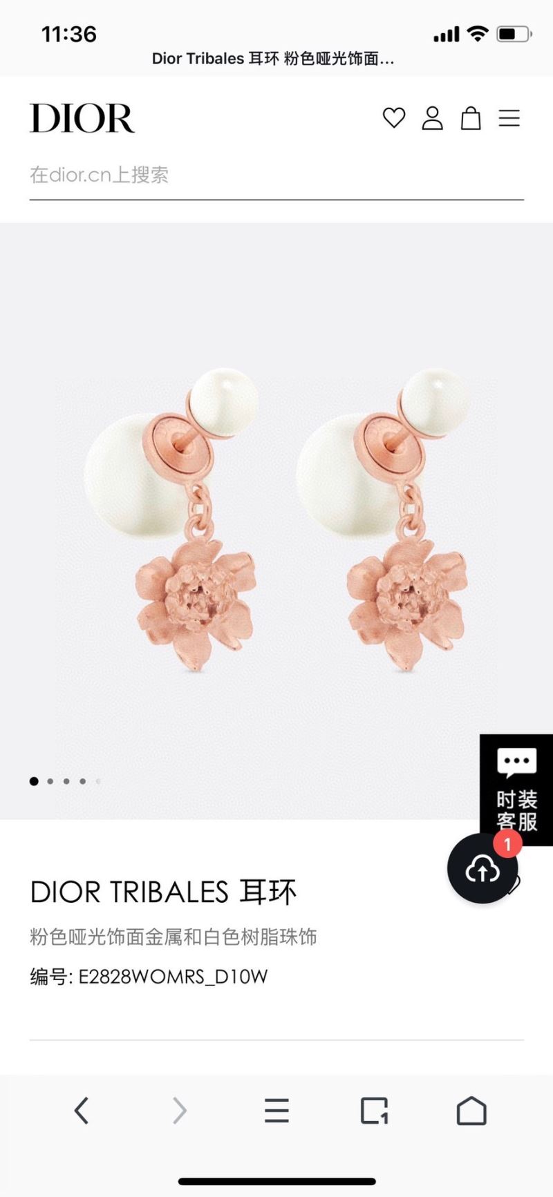 Christian Dior Earrings